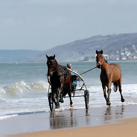 Apartament Calme Et Arboree Proche De La Cabourg